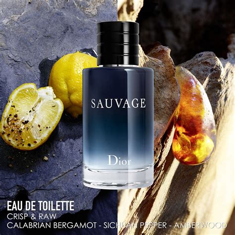 dior sauvage eau de parfum ingredients|Dior eau sauvage boots.